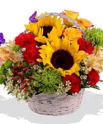 Maybe you would like to learn more about one of these? Burst Of Spring Flower Delivery Spring Flowers Planting Flowers