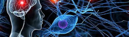 Clinica medical sfntul andrei s.r.l. Neurologie
