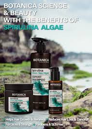 I've completely repaired all lost hair in 2 months! Botanica Spirulina Algae Hair Care Deadseashop Com