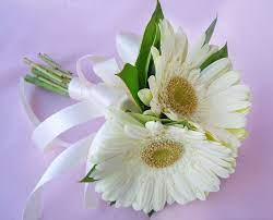 My Bridal Bouquet Will Be Blue Gerbera Daisies It Will Actually Be 3 Bouquets In One Just Before Daisy Bouquet Wedding Daisy Wedding Flowers Daisy Wedding