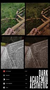 Boujee(free filter) ;works best with any kind of pics @ohteenmood ———  tag someone who. I Really Dig The Dark Academia Aesthetic So I Made This Recipe For Us Yes That Is My Handwriting Ig Rangmunch Vsco