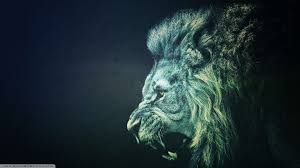 Lion Wallpapers For Iphone On Wallpaper 1080p Hd Lion Wallpaper Lion Live Wallpaper Abstract Lion