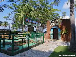 Glory beach resort port dickson. Pengalaman Menginap Di Glory Beach Resort Port Dickson Xplorasi Destinasi