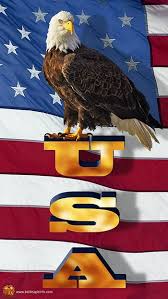 The bald eagle was chosen june 20, 1782 as the emblem of the united states of america, because of its long life, great strength and majestic looks, and also because it was then believed on the backs of our gold coins, the silver dollar, the half dollar and the quarter, we see an eagle with outspread wings. National Animal Symbols Most Countries Use An Animal To Clarify Its National Spirit And Character The Bald Patriotic Pictures Eagle Wallpaper Bald Eagle