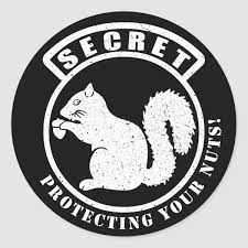 Check spelling or type a new query. Secret Squirrel Patch Protecting Your Nuts Classic Round Sticker Zazzle Com In 2021 Secret Squirrel Round Stickers Squirrel