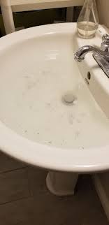my bathroom sink wont drain. been like
