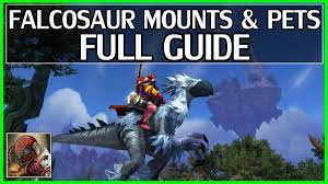 Wowhead guide to getting falcosaur pets. 7 1 New Falcosaur Mount Pet Guide Talon S Vengeance Faction Wow Legion Youtube