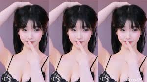 과즙세연 슴 경계성 디시