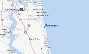 Sawgrass Tide Station Location Guide