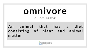 A large portion of their diet comes from small animals they prey they'll eat what is available. Omnivore Definition And Examples Biology Online Dictionary