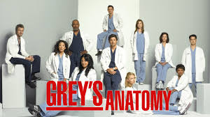 Ça ne prend que 2 minutes pour regarder à des milliers de séries gratuites. Greys Anatomy Season 15 Episode 8 Blowin In The Wind