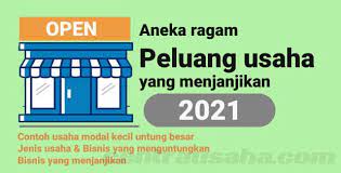 100 Contoh Bisnis Jenis Usaha Yang Menjanjikan Dengan Modal Kecil