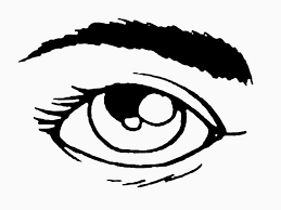 10 gambar mawar hitam putih keren bunga mawar com bila kebanyakan orang menyukai gambar mawar yang tidak hitam putih gambar cerah maka orang 25 gambar kartun hitam putih keren untuk diwarnai. 69 Gambar Anggota Tubuh Kartun Hitam Putih Cikimm Com