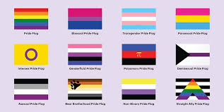 Flags that help different members of the lgbtq community feel seen and heard. Running The New Progress Pride Flag Up The Flagpole Shepherd Express