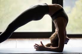 Cheerful pensioner man doing stretching exercise with fitness instructor in gym together. Gymnastics Girl Sexy Stock Photos And Images 123rf