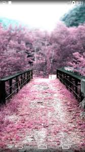Tap and hold on an empty area. Sakura Live Wallpaper 4k Fur Android Apk Herunterladen