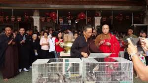 Vaiśākha), also known as buddha jayanti, buddha purnima and buddha day, is a holiday traditionally observed by buddhists and some hindus in south and. Wesak Day Stock Video Footage 4k And Hd Video Clips Shutterstock