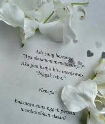 Cinta Tidak Membutuhkan Alasan Penjelasan Ataupun Solusi Ketika Seseorang Jatuh Cinta Dia Tidak Memiliki Alasan Mengapa Di Jatuh Cinta Kutipan Terbaik Cinta