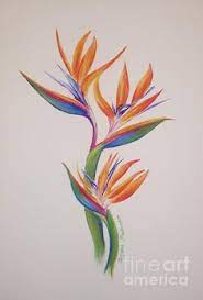16 Bird Of Paradise Tattoo Ideas Bird Of Paradise Tattoo Paradise Tattoo Birds Of Paradise