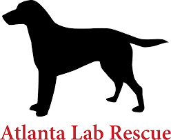 Browse thru thousands of dogs for adoption in georgia, usa area, listed by dog rescue organizations and individuals, to find your match. Petstablished Atlanta Lab Rescue Has Pets For Adopt