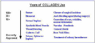 Collagen History