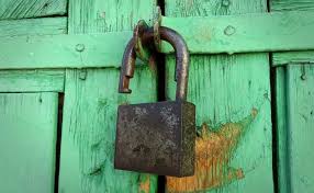 Quelle Spiruline Bio Choisir Renforcer Systeme Immunitaire Systeme Immunitaire Immunitaire