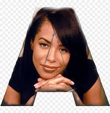 What are y'all's thoughts on this? Aaliyah Plane Crash Png Image With Transparent Background Toppng