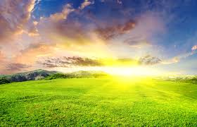 Free field wallpapers and field backgrounds for your computer desktop. Field Grass Sunset Hd Wallpapers Desktop And Mobile Images Photos