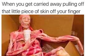 I read a couple of things that surprised me: 24 Memes That Are So True It Kind Of Hurts