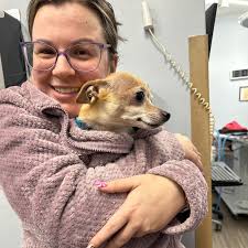 Dachshunds are prone to dental disease, and Oscar and Stanley's families  are doing the right thing by staying ahead of it. Plus, how cute are these  two?