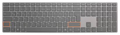 Windows bietet eine bildschirmtastatur, mit der sie auch dann tippen können, wenn sie keinen zugriff auf eine physische tastatur haben. Lightroom Tiger Tipp 2 Gerade Linien Mit Shift Eye Of The Tiger