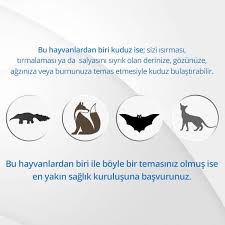Pin On Farkindalik Ozel Gunler