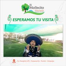 Quinta Campestre El Mollecito