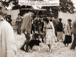 Owd Bob (1938) screenshot (4) | John Loder, Margaret Lockwood