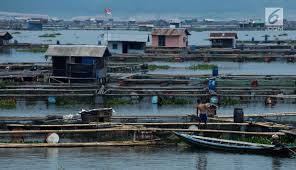 Foto Potret Aktivitas Petani Keramba Jaring Apung Waduk Jatiluhur News Liputan6 Com