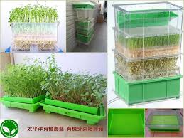 有機芽菜 芽菜機 芽菜培育箱 水耕盤 芽菜種子 居家diy 全自動豆芽機 簡單培育有機豆芽菜與有機芽苗菜 吃得健康又營養 育苗盤 全自動豆芽機 有機紫高麗