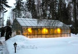 Check spelling or type a new query. Greenhouse Do It Yourself 92 Photos How To Make A Convenient Home Made Greenhouse For Peppers The Best Projects