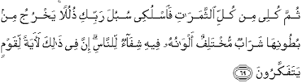 Internet archive html5 uploader 1.6.1. Quran Surah An Nahl 69 Qs 16 69 In Arabic And English Translation Alquran English
