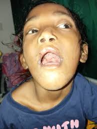 Palácio das Cinzas added a new photo.