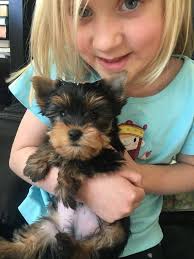 A few words of appreciation for Julie Breeder team from my family... You  have made the past five months such a special time for my family. Believe  it or not, we found