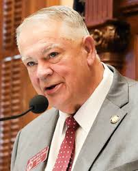 2010 Georgia House of Representatives election