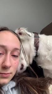 Brian Newbert's Instagram, Twitter & Facebook