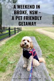 Pin On Pet Friendly Adventures
