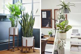 See more ideas about interior, plants, design. How To Care For Indoor Plants Pottery Barn