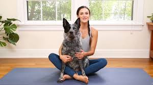 Pin On Yoga With Adrienne