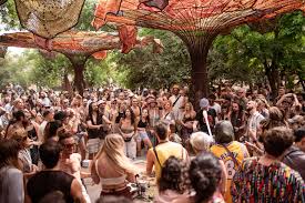 Image result for Ozoroa homblei