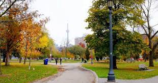 If a park is crowded when residents arrive, we encourage them to visit a different park, or come back at a later time. On The Grid Trinity Bellwoods Park