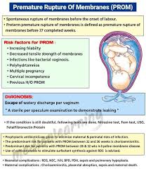 Image result for Chorioamnionitis