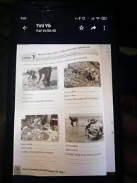 Sebutkan jenis badan usaha menurut lapangan usaha a. Sebutkan Jenis Usaha Hasil Usaha Dan Sumber Daya Yang Di Manfaatkan Foto Item 1 Item 2 Jenis Brainly Co Id