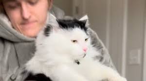 singing "Until I Found You" until my cat claws me